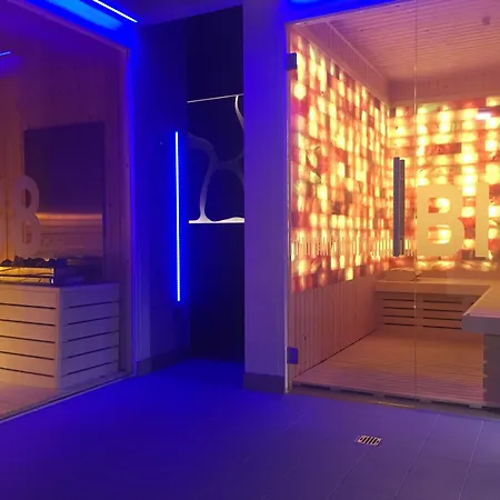 维斯塔贝斯特韦斯特酒店 酒店 俄斯特拉发