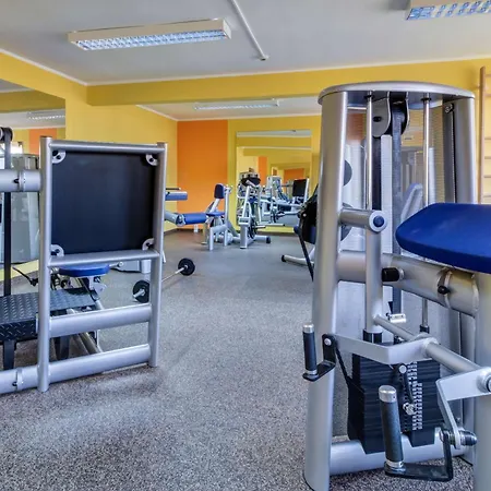 维斯塔贝斯特韦斯特酒店 俄斯特拉发