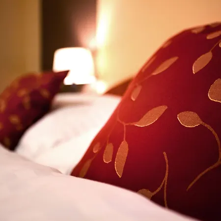 Hotel Western Vista 4*