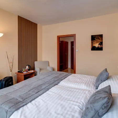 Western Vista Otel Ostrava