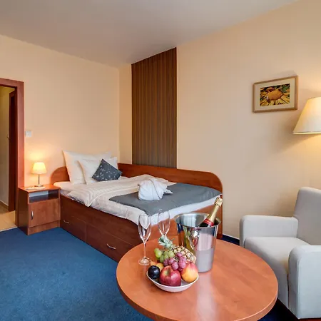 Western Vista 4* Ostrava