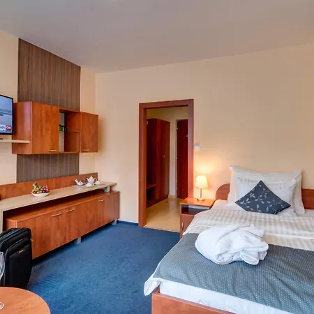 维斯塔贝斯特韦斯特酒店 俄斯特拉发