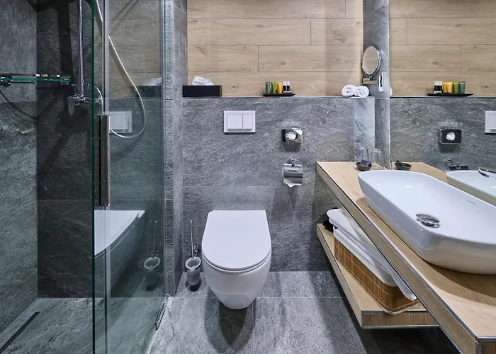 호텔 Western Vista