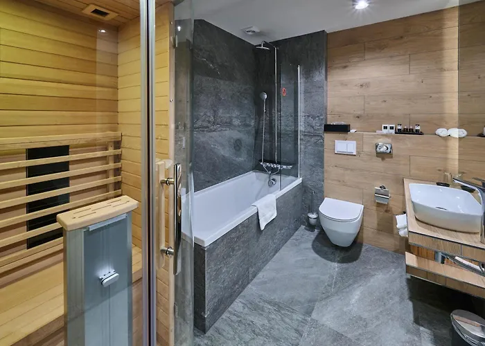 Hotel Western Vista 4*